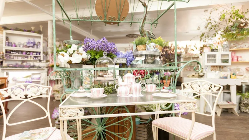 The Pink Chandelier