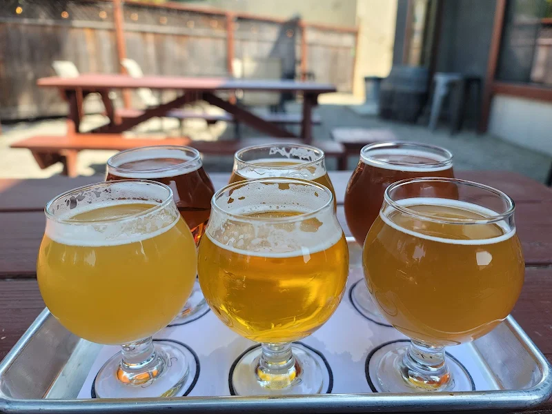 Steel Bonnet Brewing Company