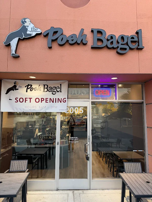 Plain Bagel