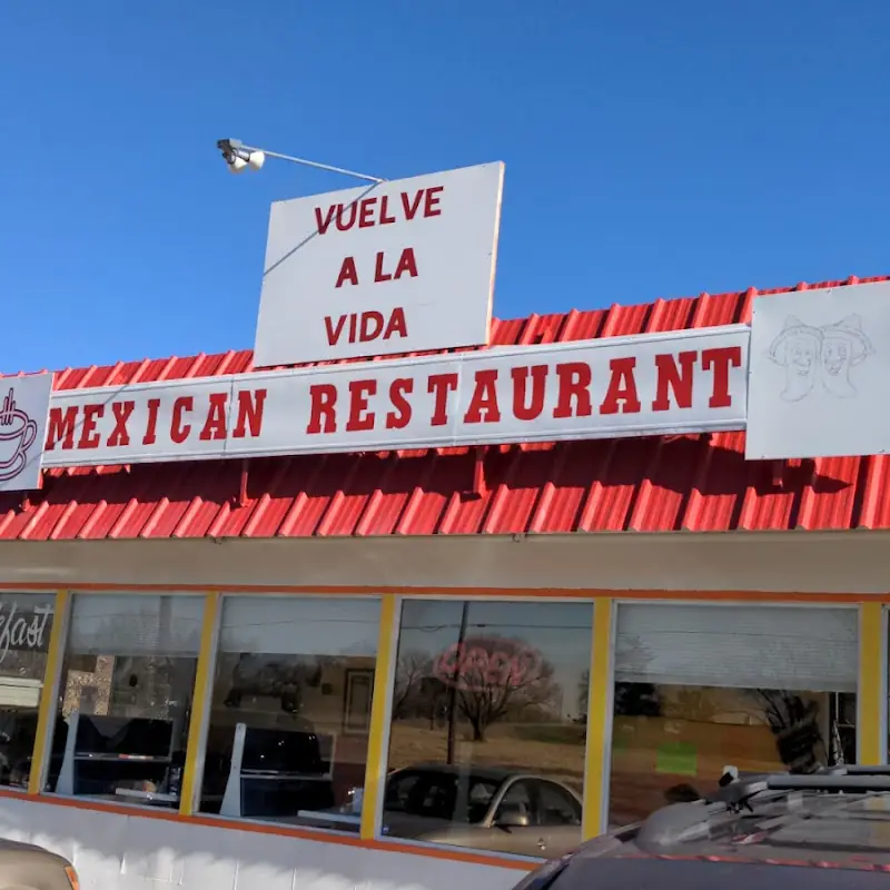 Vuelve A La Vida