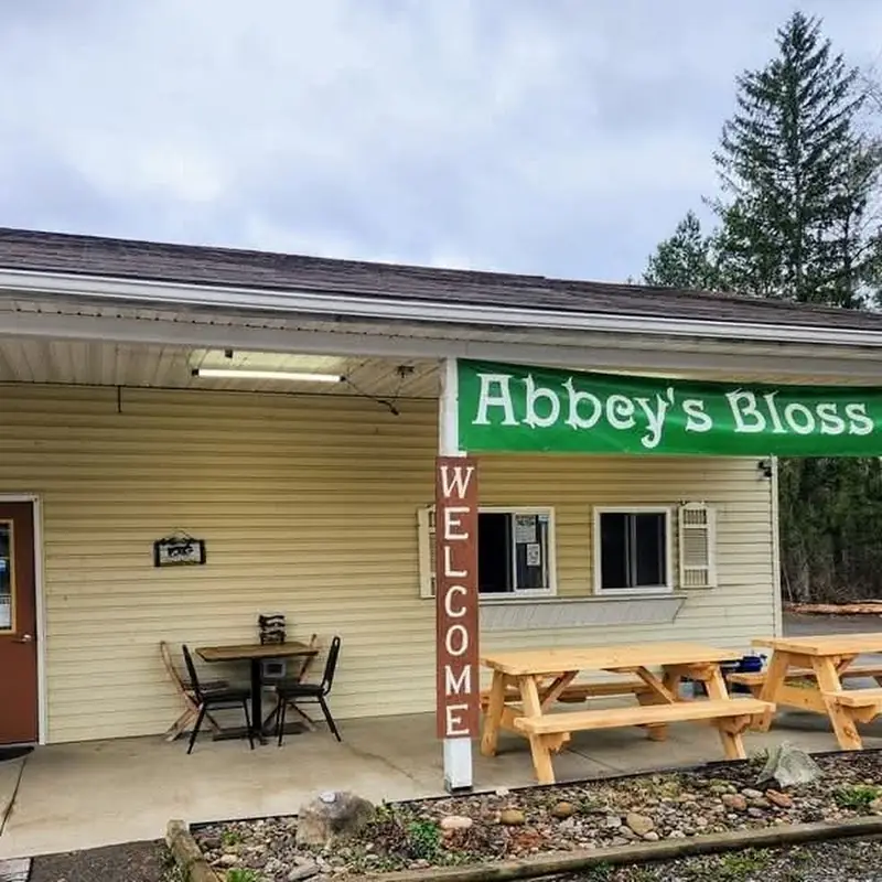 Abbey's Bloss Diner & Pizzeria