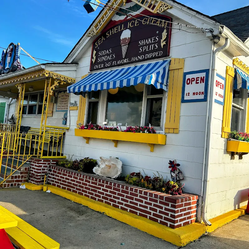 Sea Shell Ice Cream