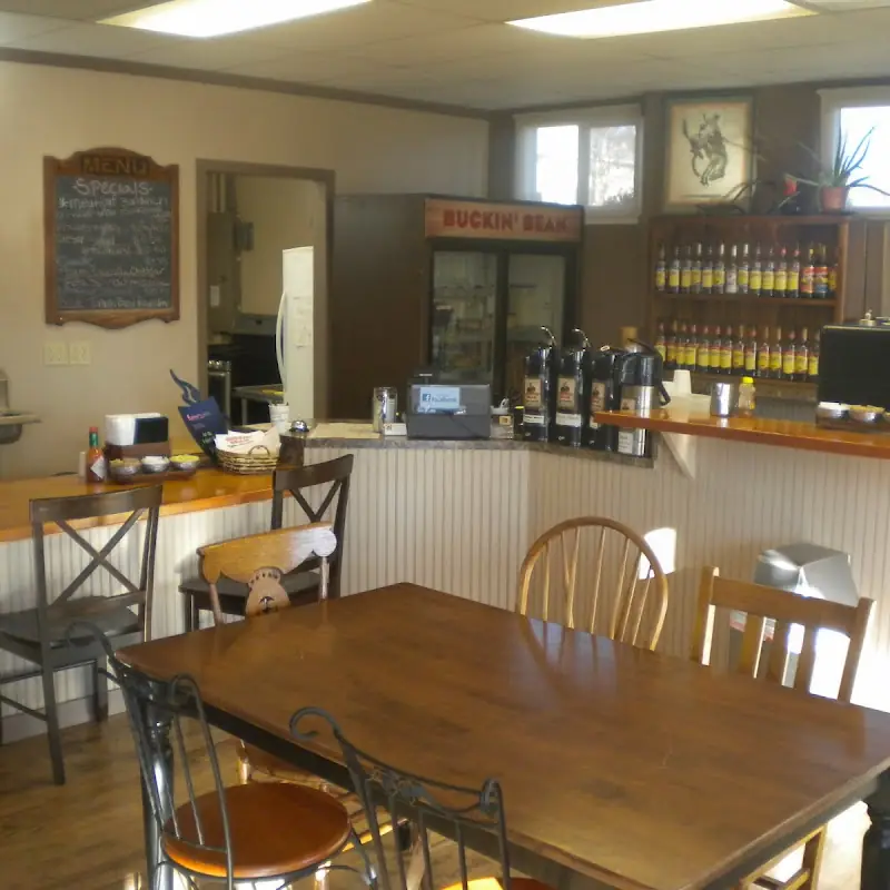 Buckin Bean Coffee Roasters