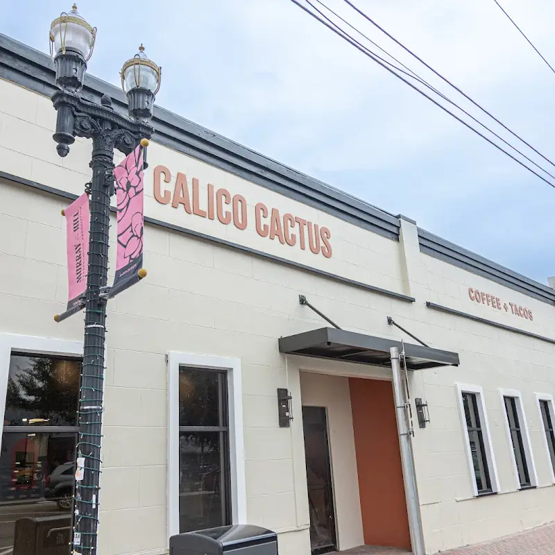 Calico Cactus