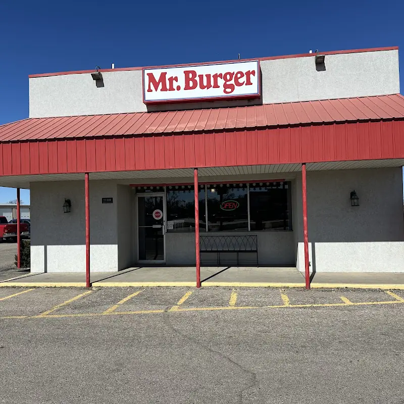 Mr Burger