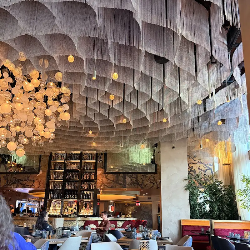 Experience Zuzu, Nashville