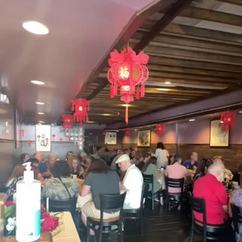 Lotus Cafe