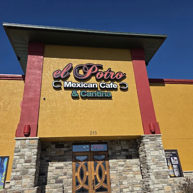 El potro mexican cafe