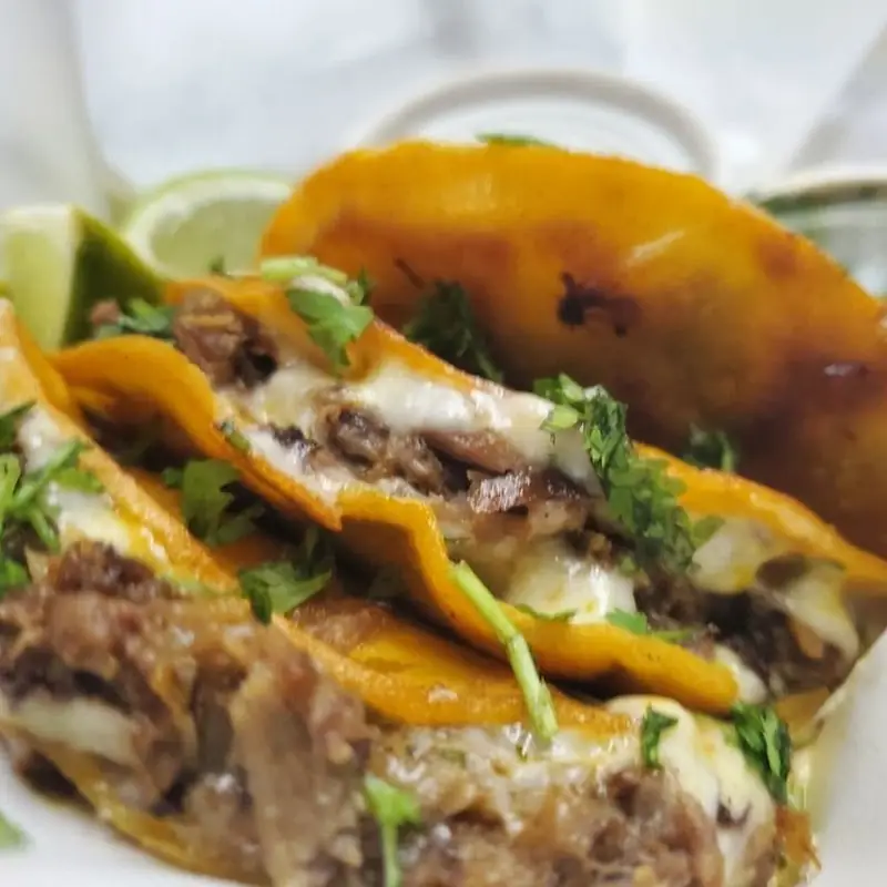 Burrito Mixto (pollo-pastor)