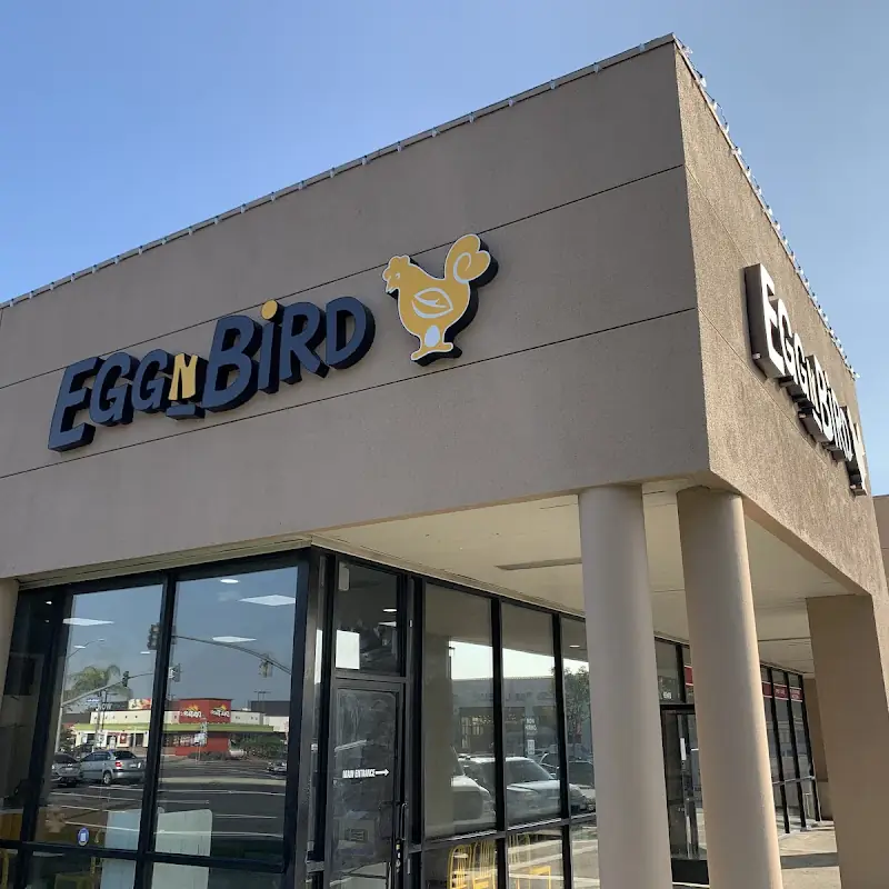 Egg N Bird - Cypress