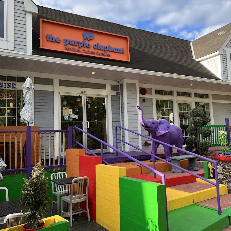 The Purple Elephant