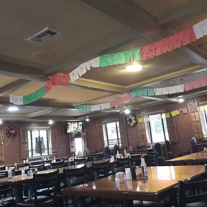 El volcan mexican bar & grill