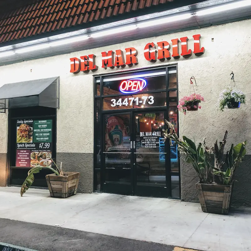 TACOS GOBERNARDOR