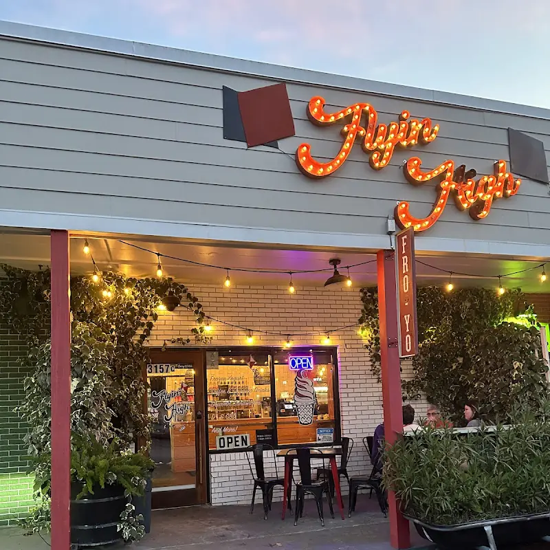 Flyin' High FroYo and More!