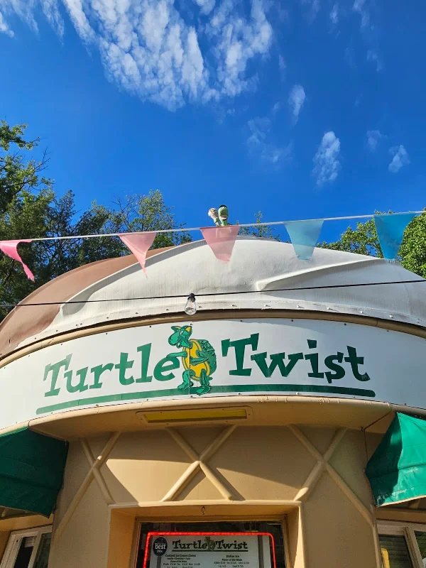 Turtle Twist