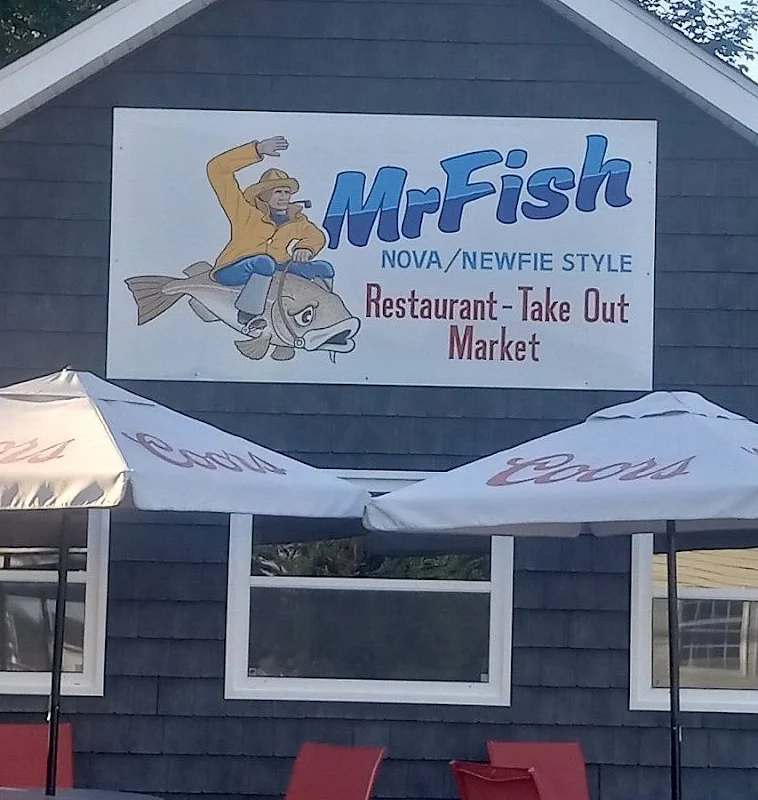 Mr Fish