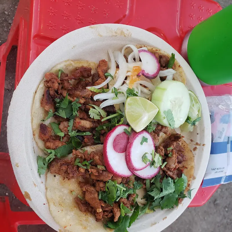 Tacos El Patron