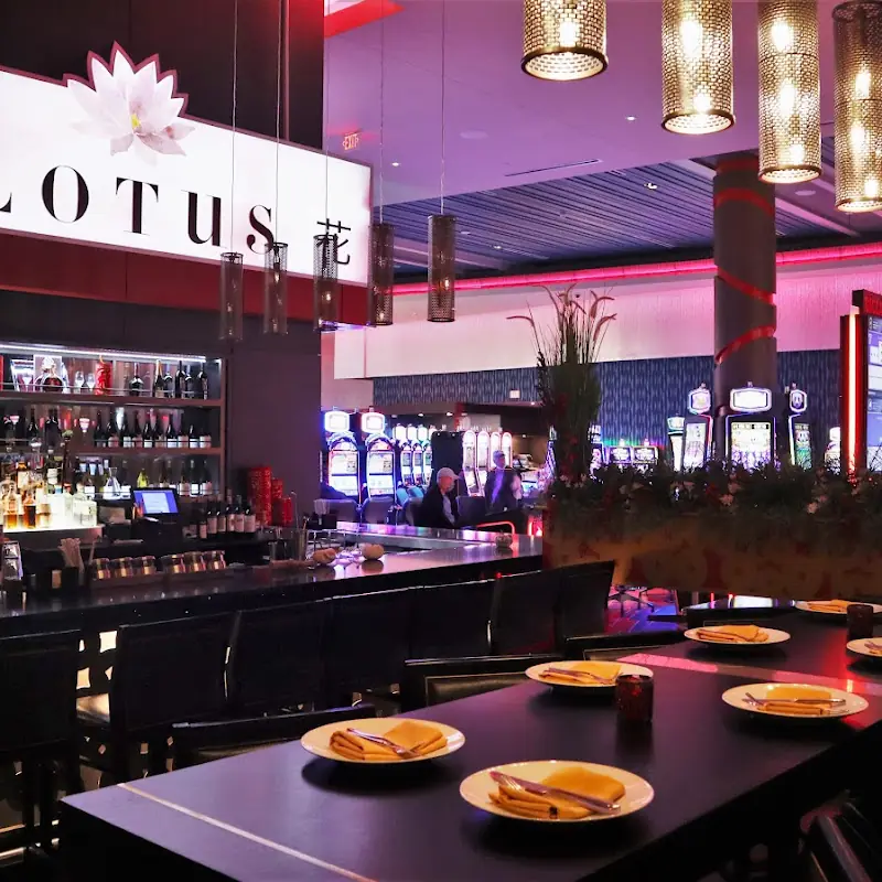 Lotus