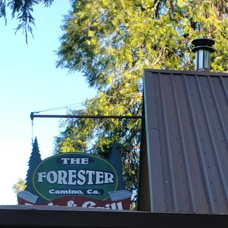 The Forester