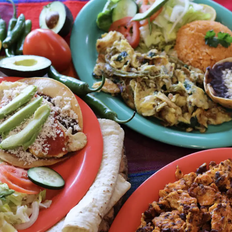 Salsa de (Chorizo, Huevo, Chicharrón o Carne Frita) / Salsas with Your Choice of Chorizo, Eggs, Pork Rinds or Beef