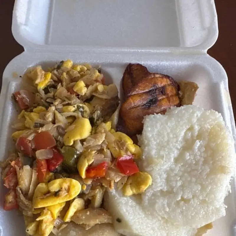 Brown Stew Snapper