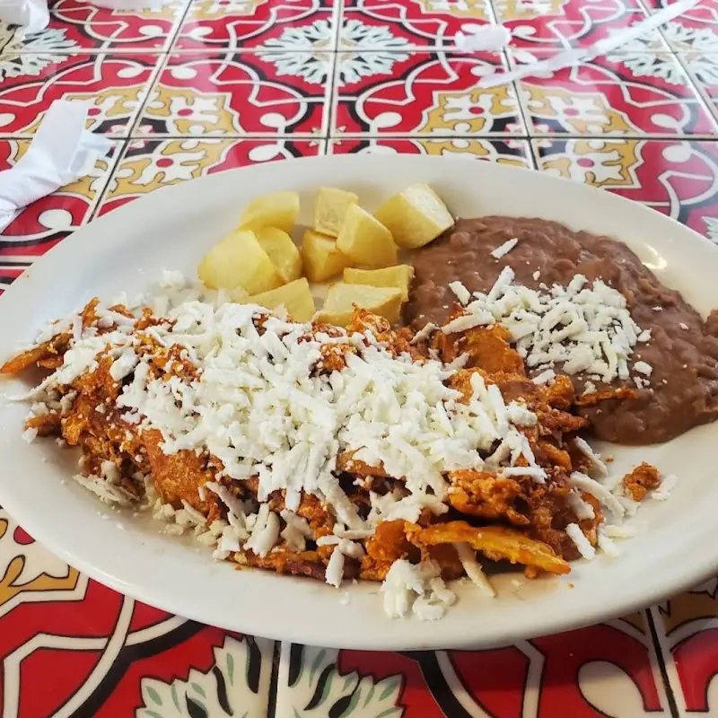 Carne Asada Burrito