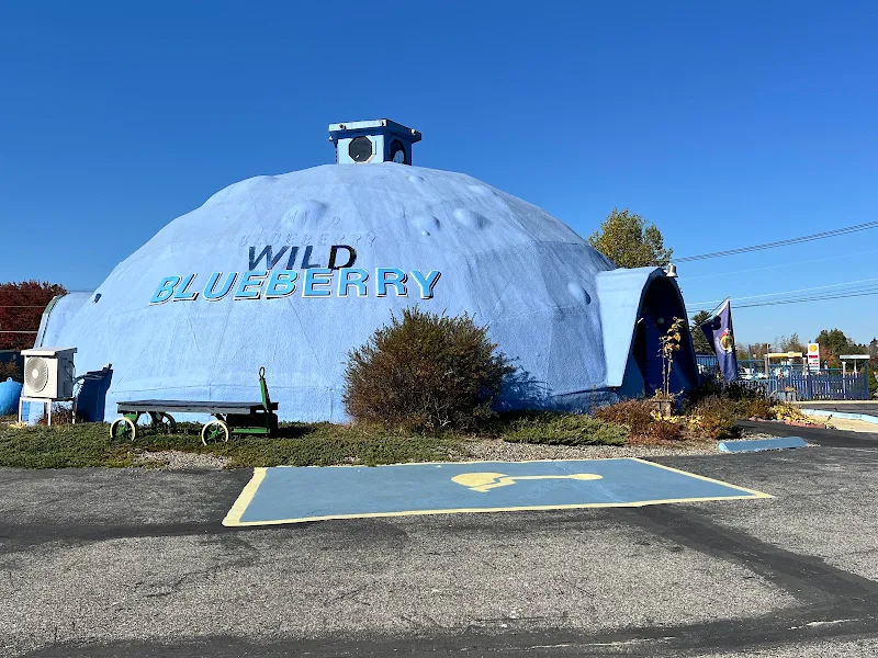 Wild Blueberry Land