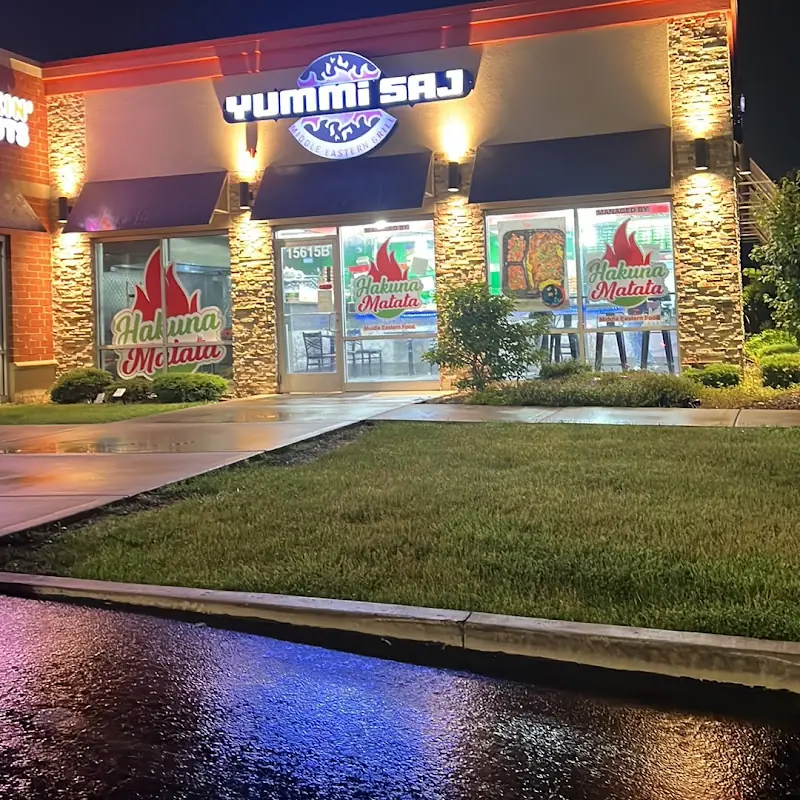 Hakuna Matata 2