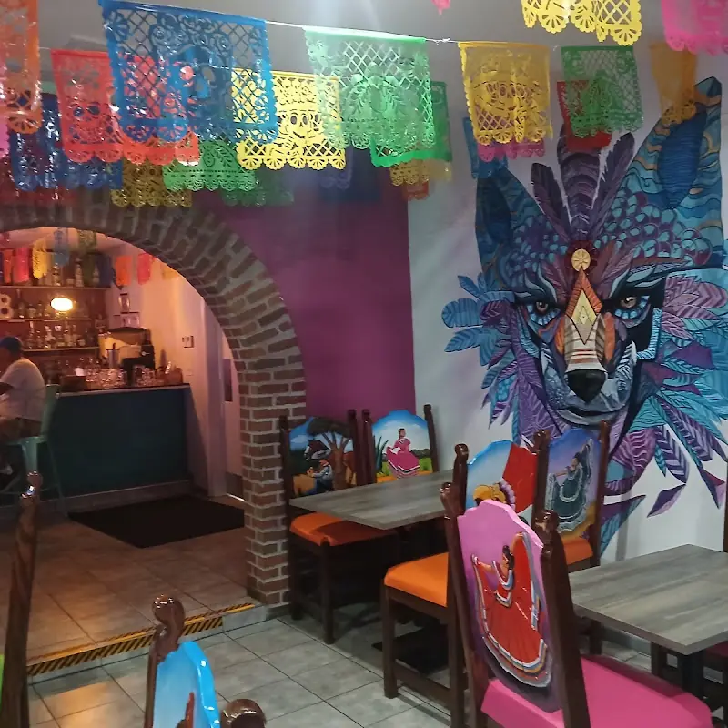 Coyote Cocina Mexicana