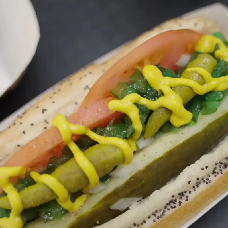 Gyro Dog