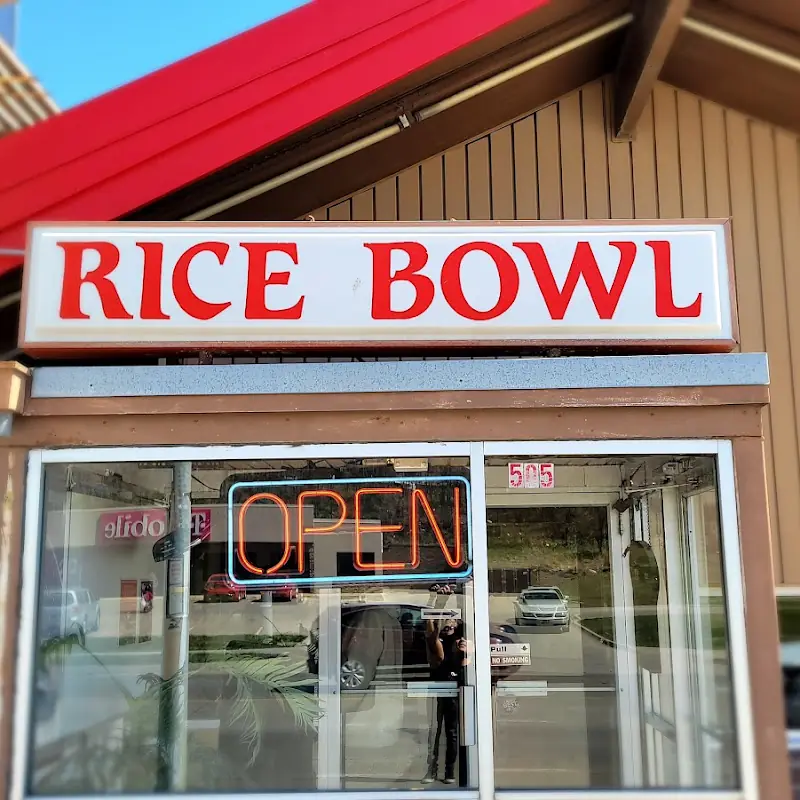 Rice Bowl