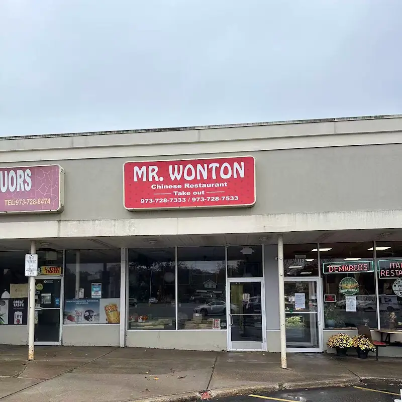 Mr.Wonton