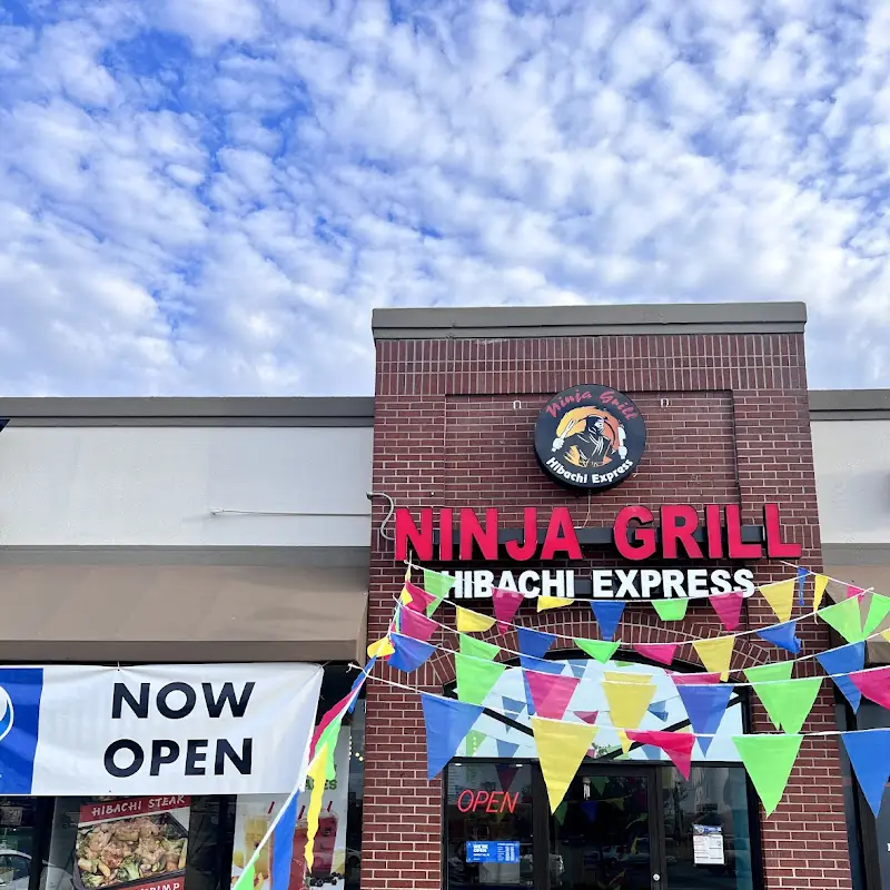 Ninja Grill Hibachi Express