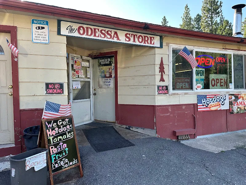 Odessa Hangout