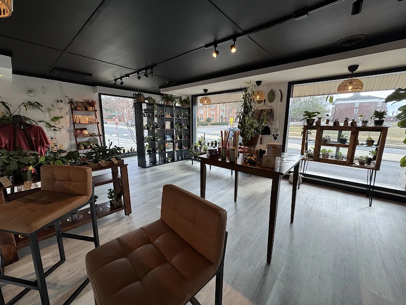 Flora Coffee