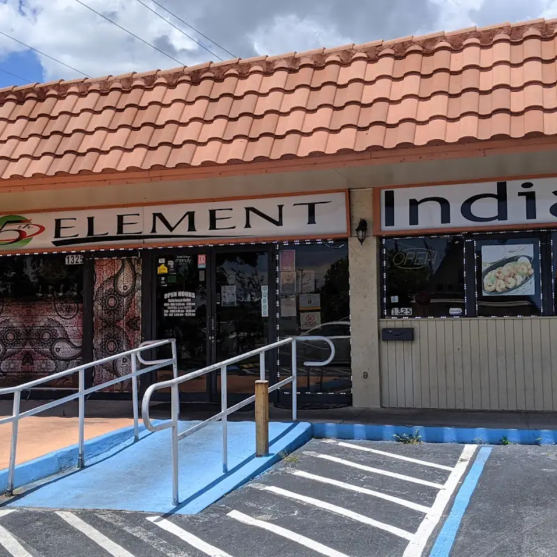 5th Element Indian Grill