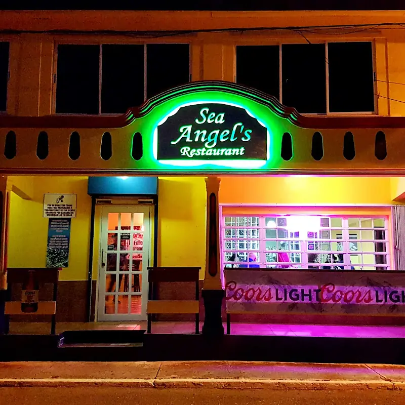Sea Angel's