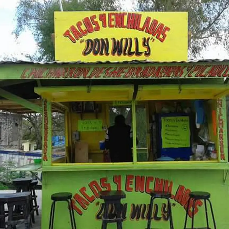 Tacos Y Enchiladas Don Willy