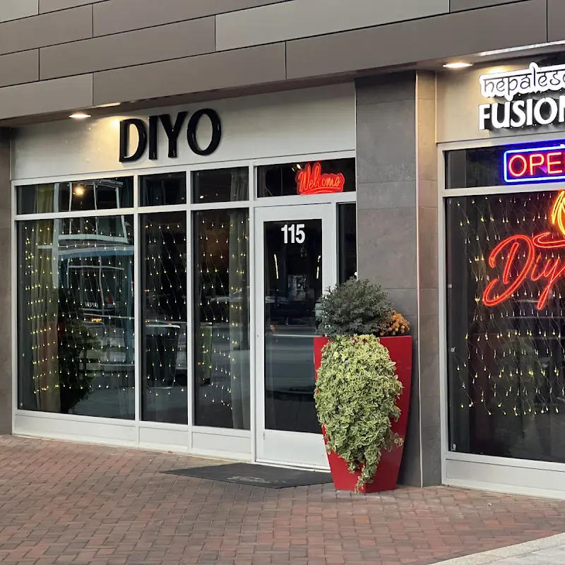 Diyo Fusion