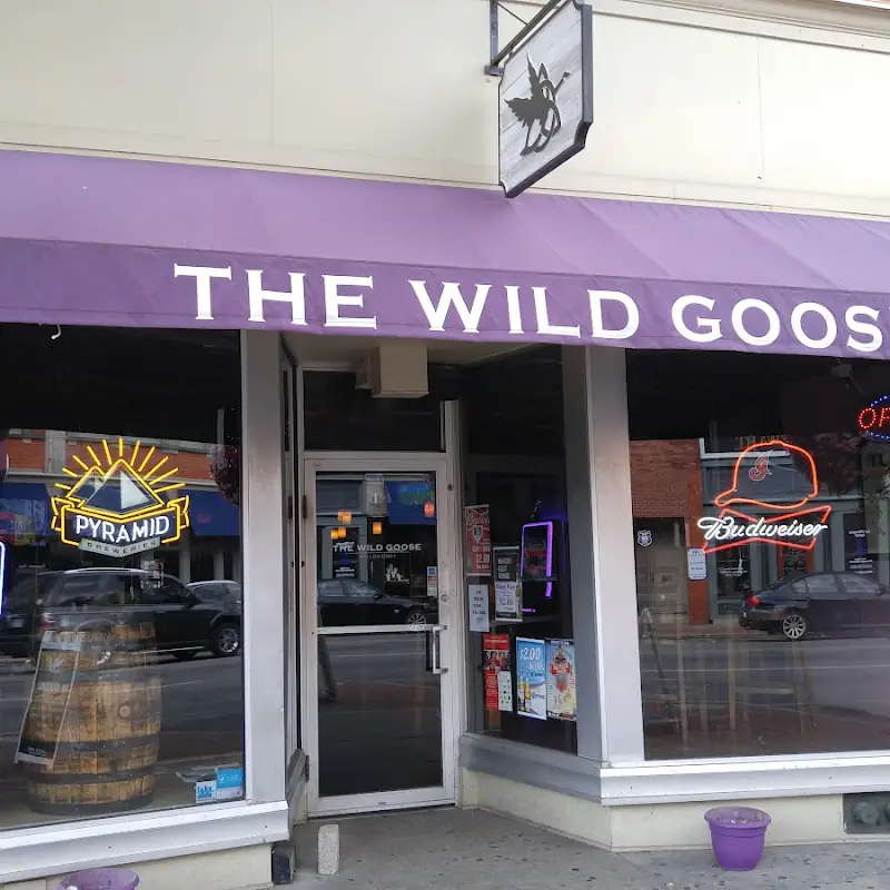 The Wild Goose