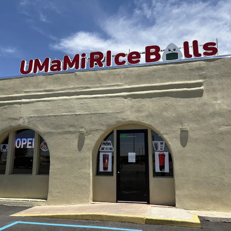 Umami Rice Balls