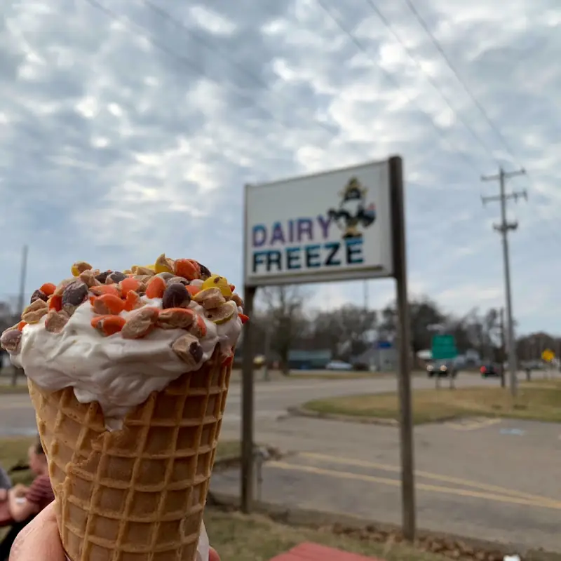 Dairy Freeze