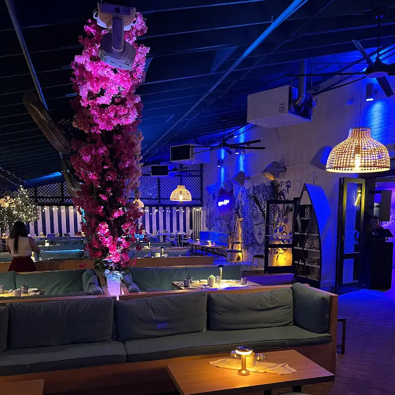 Vida Garden