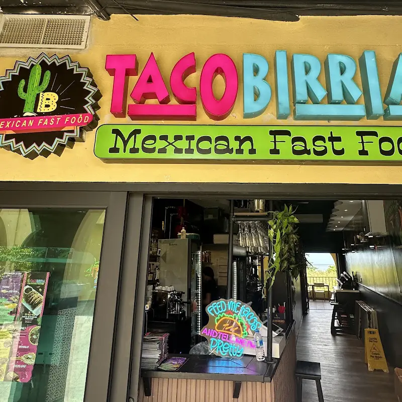 Birria Burrito