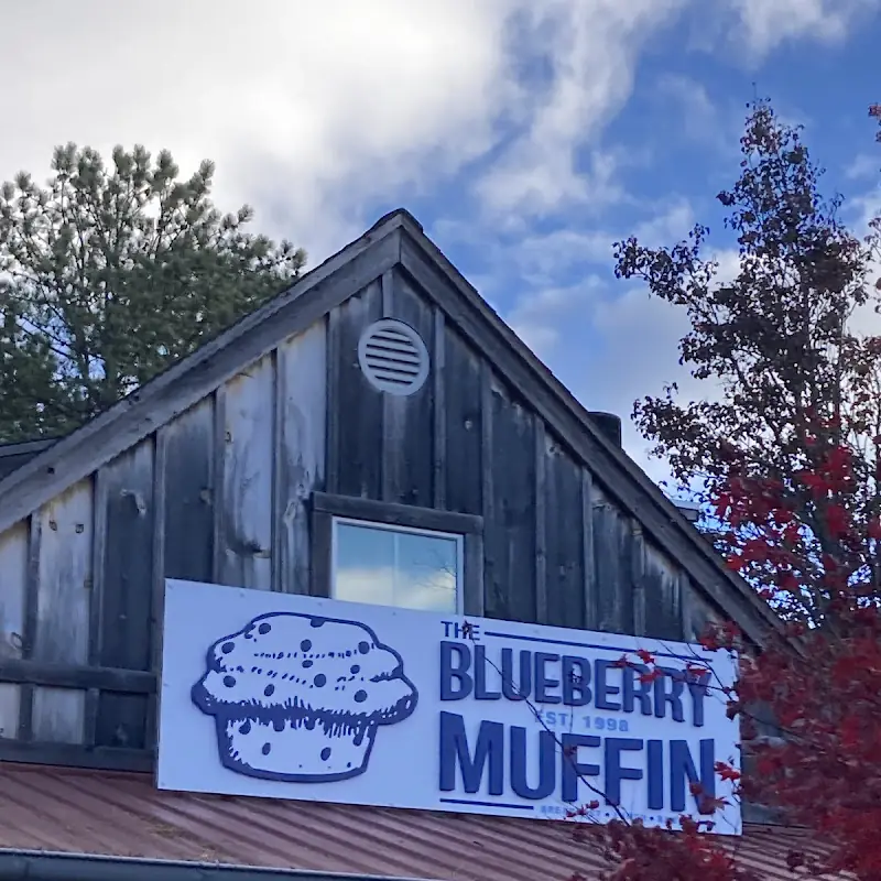 The Blueberry Muffin