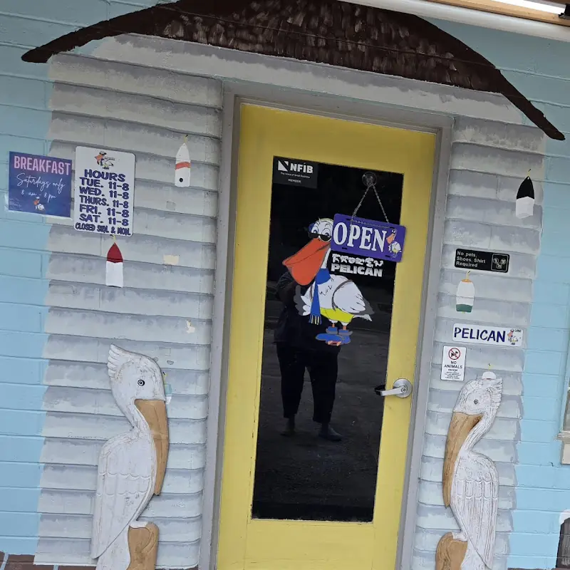 The Frozen Pelican