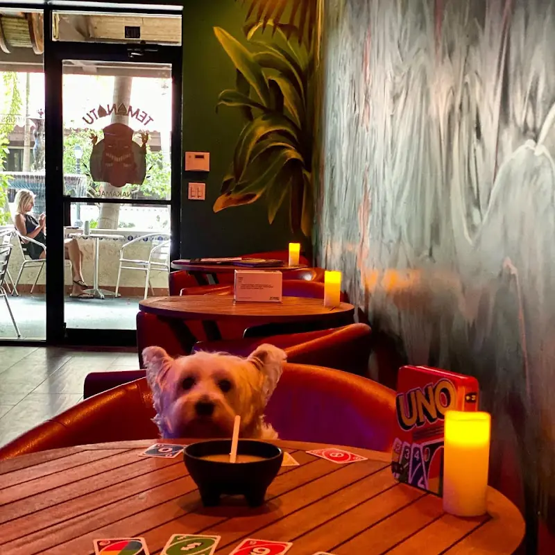 Temanatu West Palm Beach Kava Bar