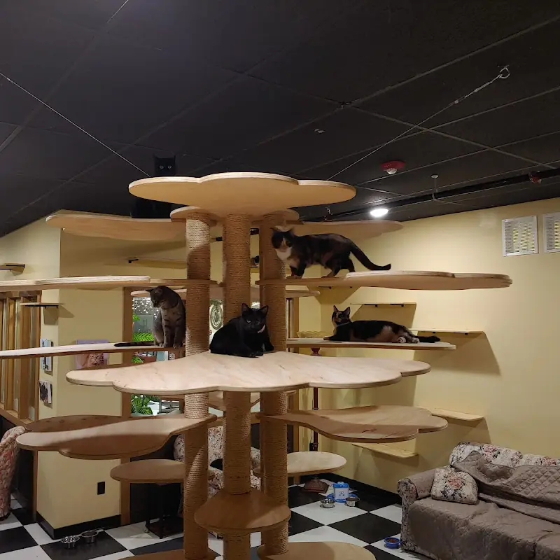 Kitty Korner Cafe