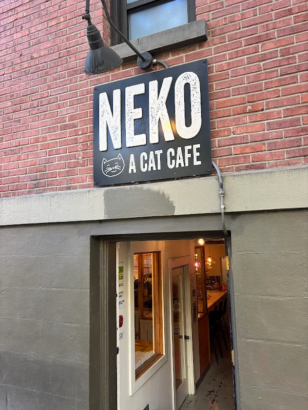 NEKO Cat Cafe Seattle