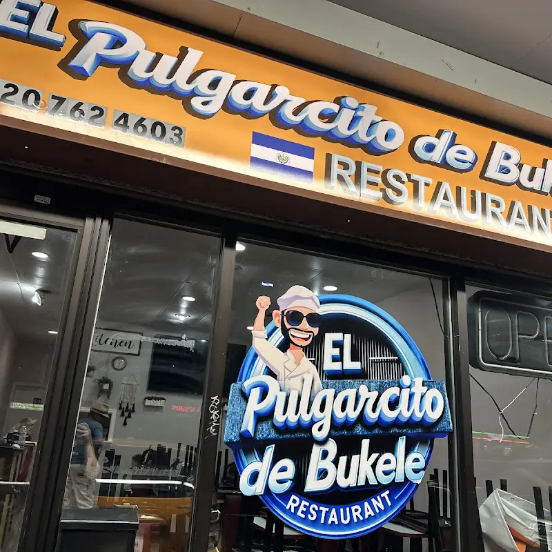 41 Plato Mixto